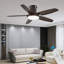 Laurenzia 122cm Ceiling Fan with LED Lights