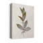 «Bronze Leaf II» par Tava Studios, reproduction d'art sur toile tendue-836685325