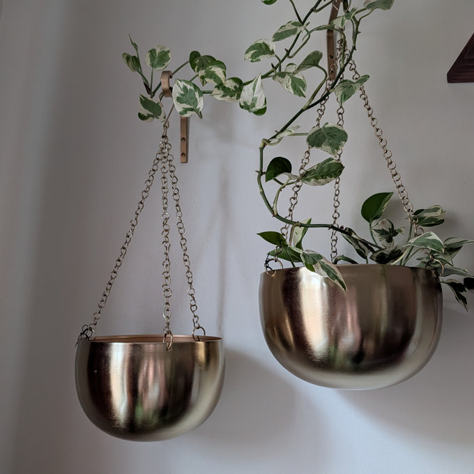 Mistana Metal Indoor Outdoor Hanging Dome Indoor Outdoor Wall Planter with  Chain & Reviews | Joss & Main