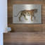 «Walking Tiger Light» par Silvia Vassileva-1359747906