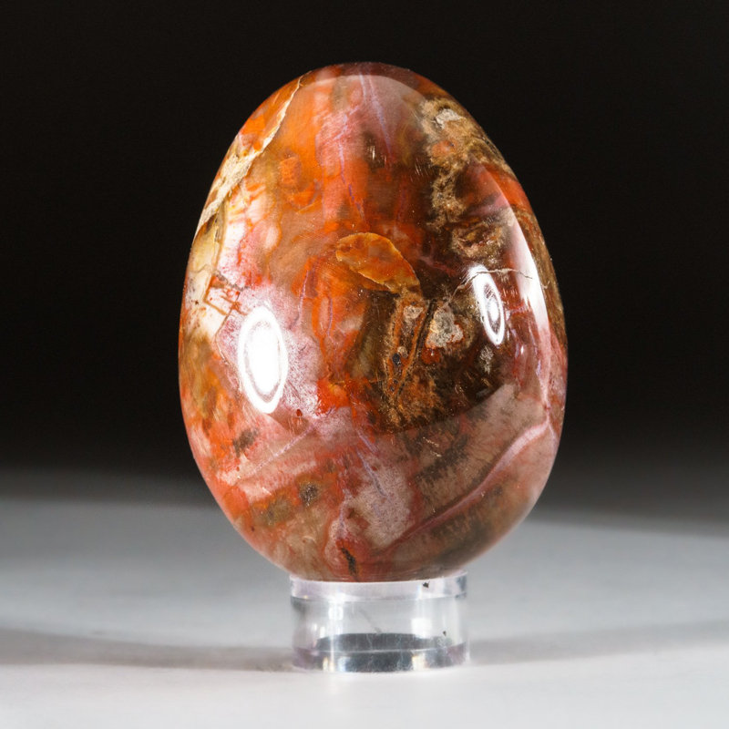 Petrified Wood Egg, 2.75" H x 2" W x 2" D, Red/Yellow/Brown