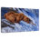 Brampt Bear Hunting