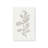 Elegant Grey Leaves Set of 2-2059517730-2059517733