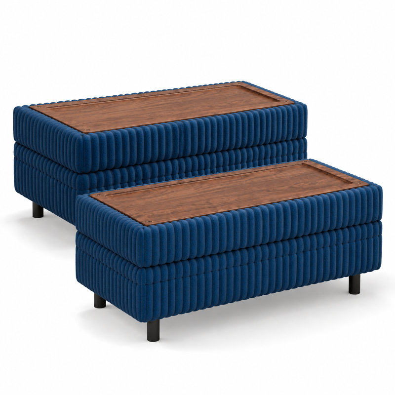 Repose-pieds de rangement tapissier avec plateau 40,55 po Sherry (ensemble de 2), Marine