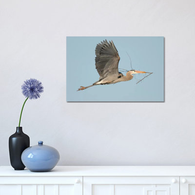 Great Blue Heron Flying With Nest Material, Kensington Metropark, Milford, Michigan by Steve Gettle - Wrapped Canvas Painting