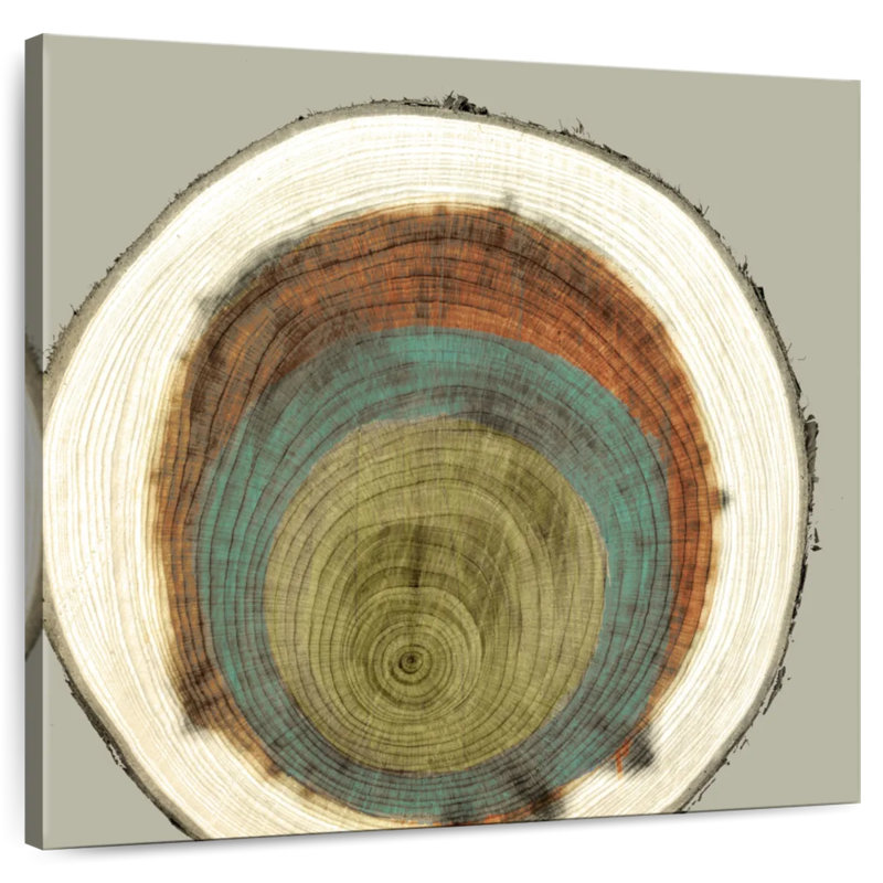 Colored Rings II, 36" H x 36" W