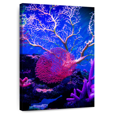 Plantes sous-marines Brampt