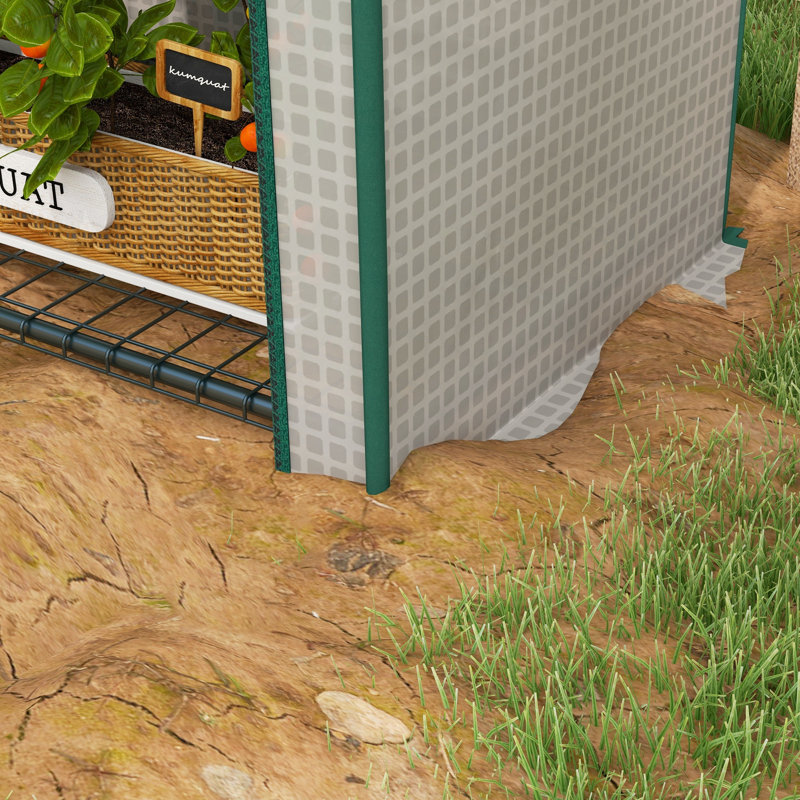 Claudette 4 Tier Mini Greenhouse for Outdoor Portable 80 x 49 x 160cm White