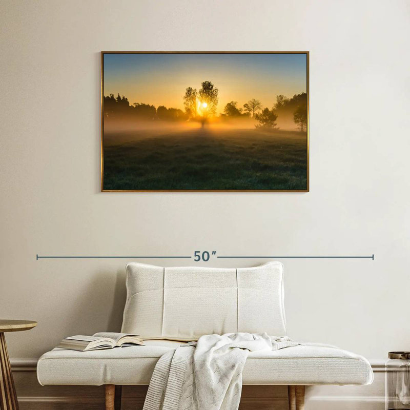 Misty Meadow au lever du soleil, Cadre flottant doré, 37 po x 25 po