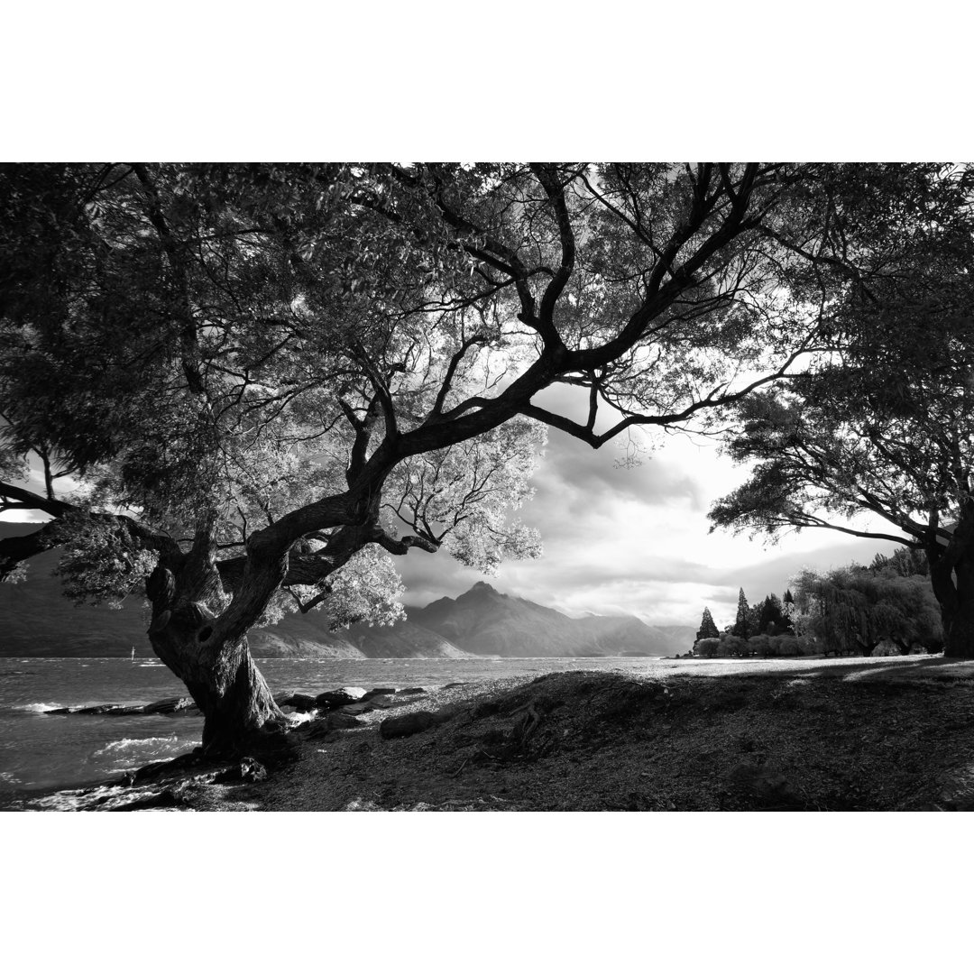 Lake Wakatipu von Simonbradfield - Drucken