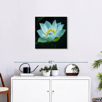 Harnek Lotus at Dawn