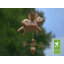 Girouette cochon volant