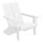 Modern Poly Adirondack Chair With Ottoman-1986754413