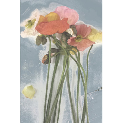 Poppy Spray I by Jennifer Goldberger - Wrapped Canvas Painting