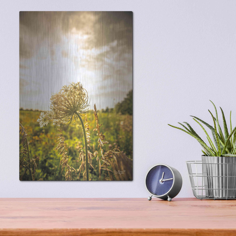 Art mural en métal Latitude Run® «Face the Sun I» par Donnie Quillen, H 16 po x l 12 po