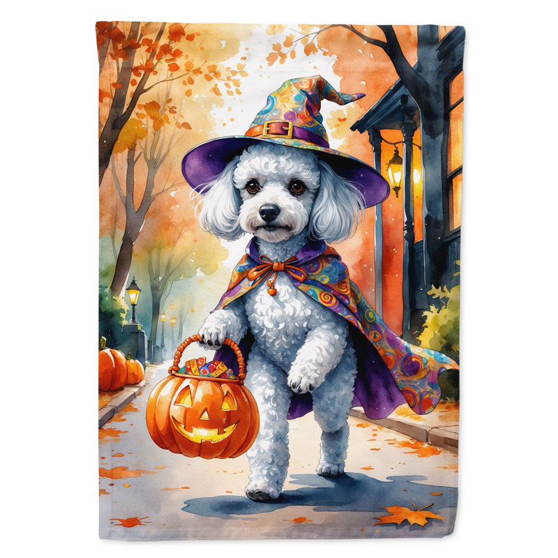 Drapeau du jardin Mastiff, Caniche blanc