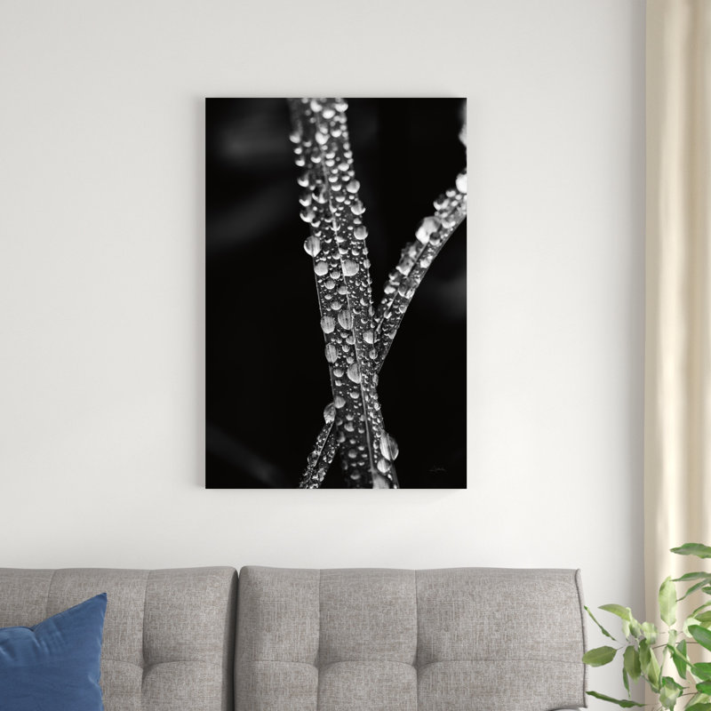 «Water Droplets» par Aledanda - photographie sur toile tendue, H 36 po x l 24 po x P 1,25 po