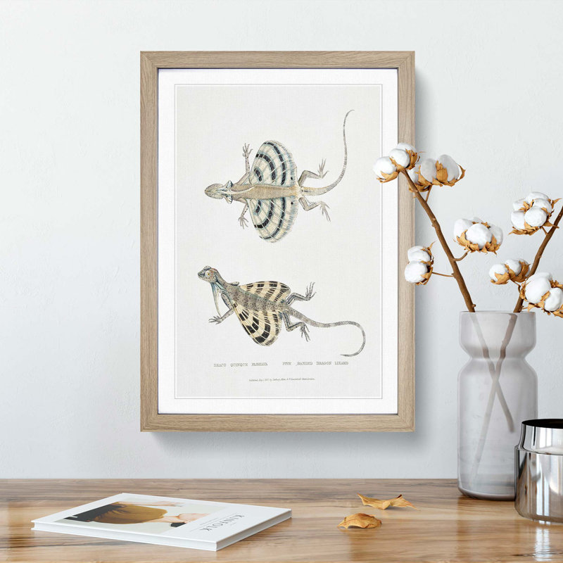 Dragon Lizard by John Edward Gray - Framed Print, 65cm H x 48cm W x 2cm D, Oak Framed