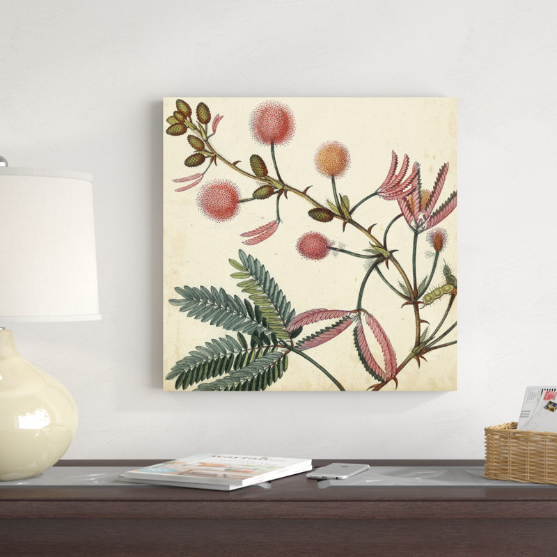 «Garden Bounty IV», peinture sur toile, H 20 po x l 20 po