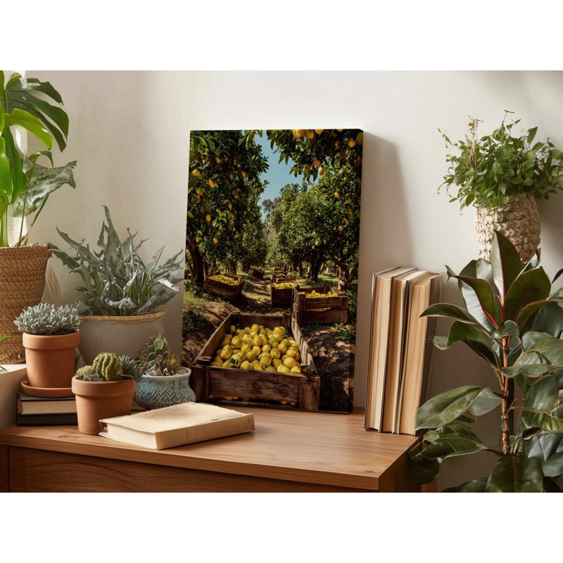 Reproduction sur toile Lemon Grove: photographie d'un verger italien, art mural Sunny Kitchen, H 36 po x l 24 po