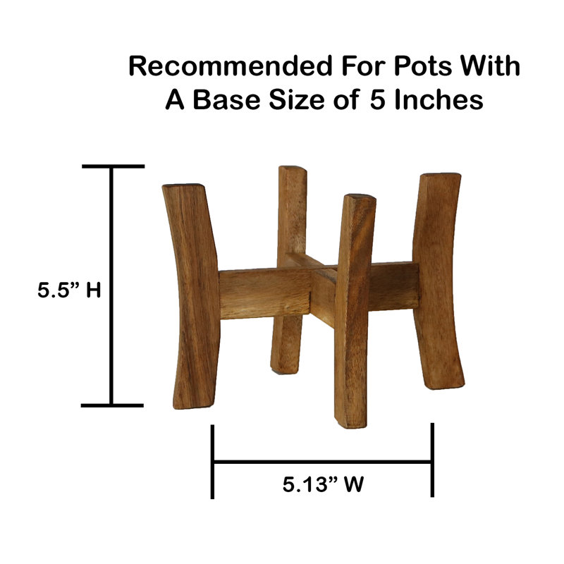 Support pour plante Haden, H 5,5 po x l 5,13 po x P 5,13 po