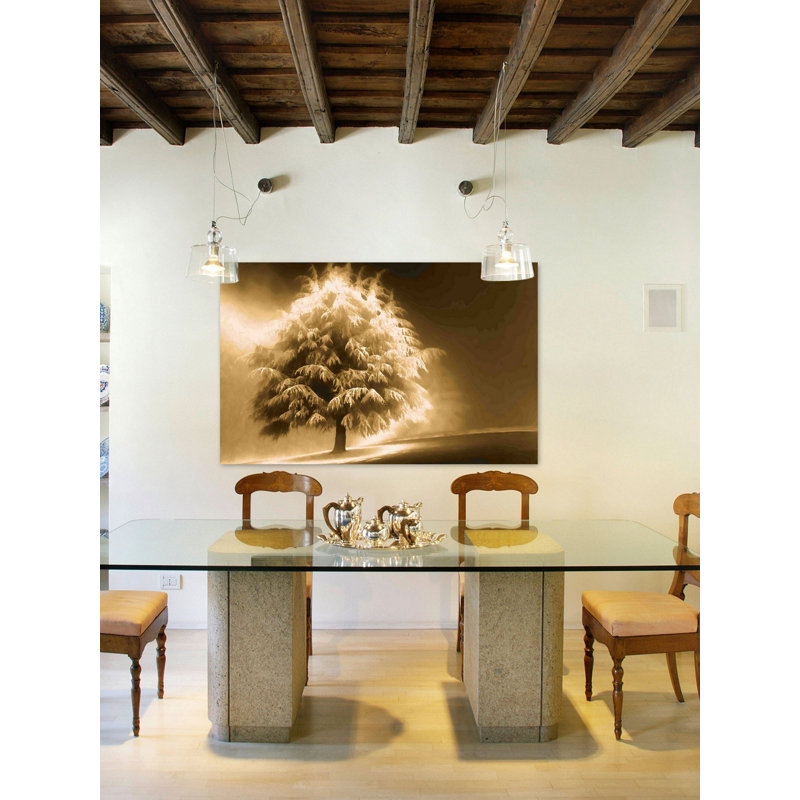 « lighted tree » par don schwartz, reproduction d’art sur toile tendue, 24 po x 36 po