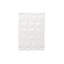 Assar Indoor Doormat