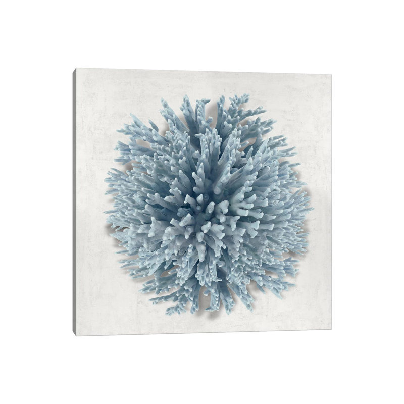 Coral Blue I by Caroline Kelly - Wrapped Canvas Print, 30.48 cm H x 30.48 cm W