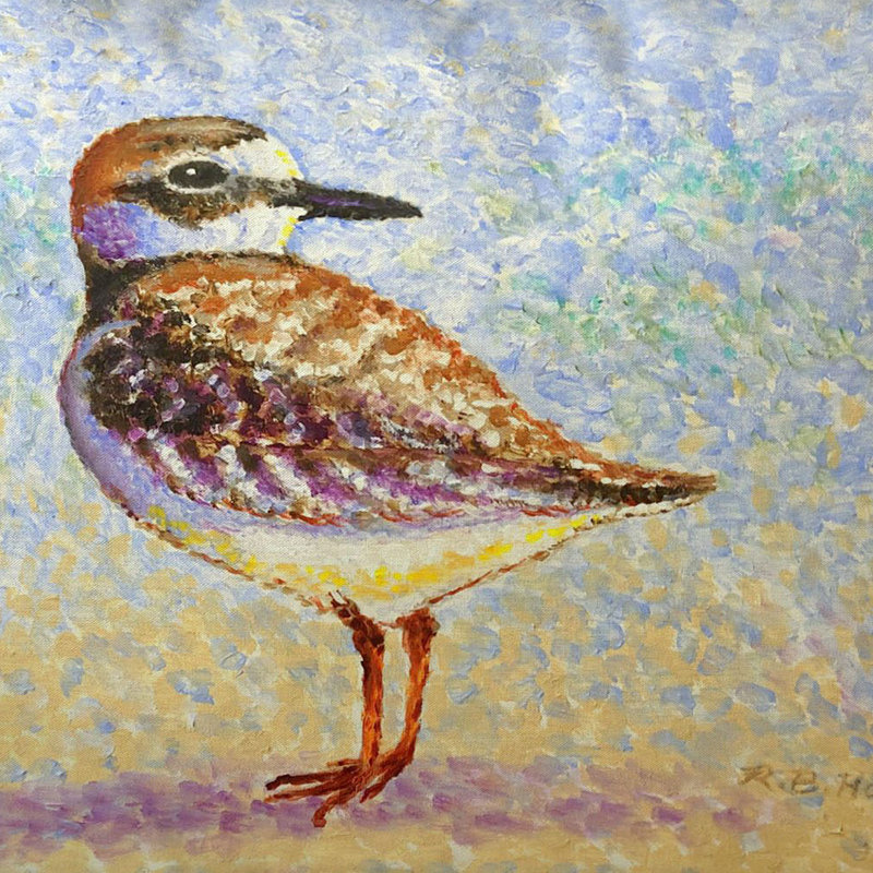 Coussin intérieur / extérieur Wilson's Plover