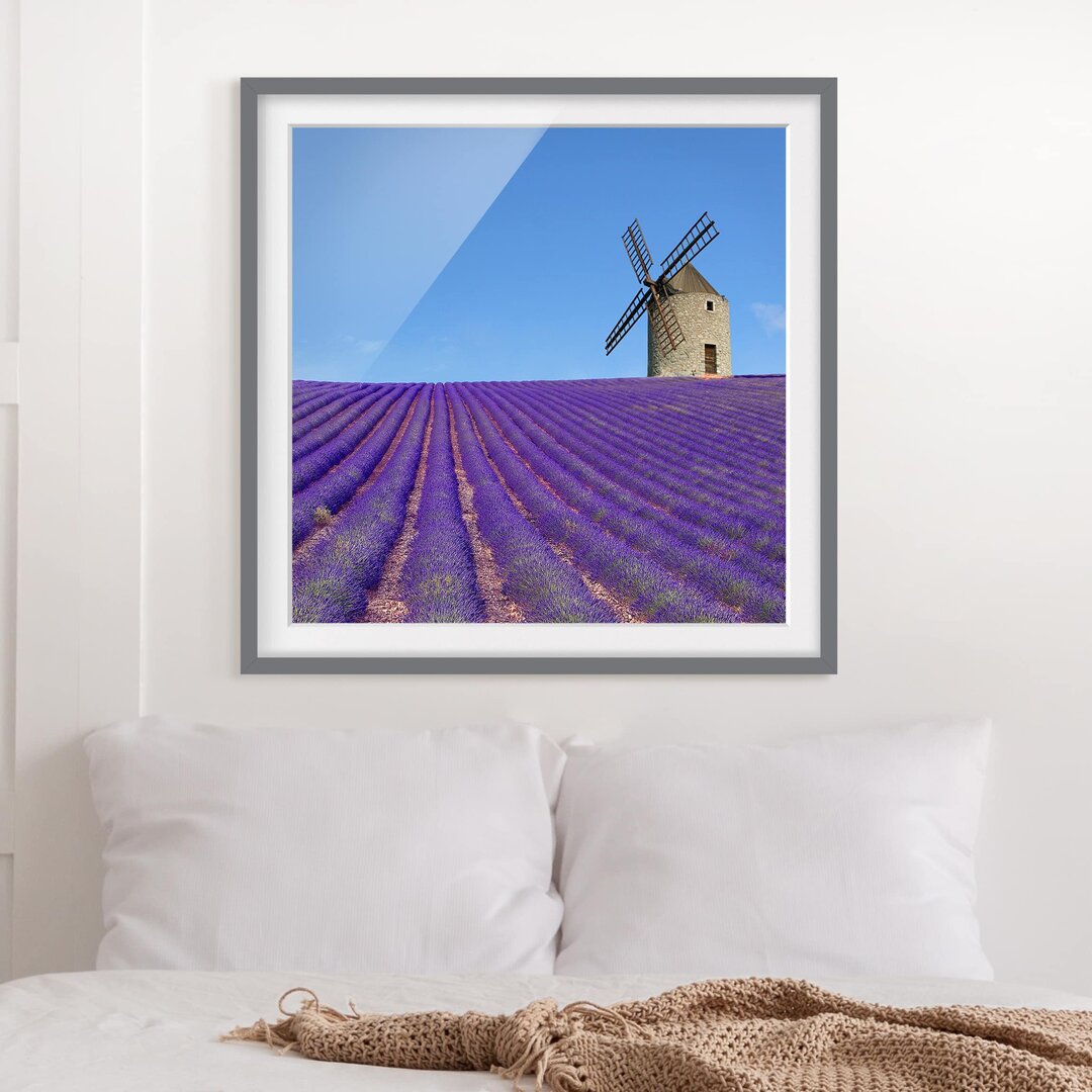 Gerahmter Fotodruck Lavender Scent in Provence