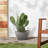 Edgewater Pot Planter-61000485-16108024