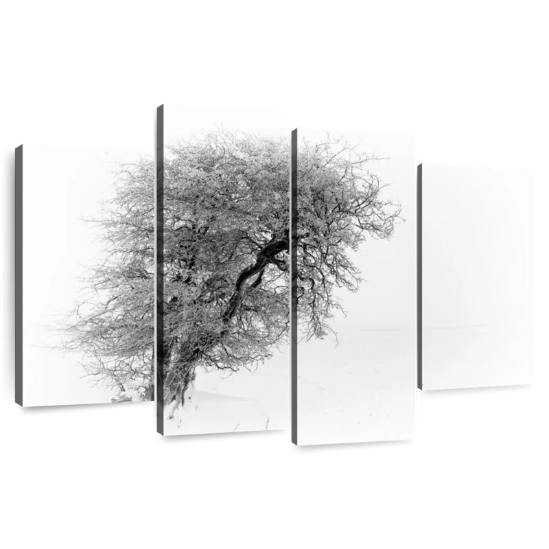Alvord Resilience II, 54" H x 84" W