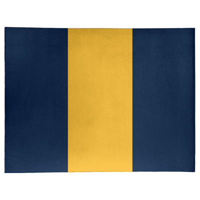 Tapis bleu à rayures NHS National Hockey