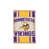 Vikings du Minnesota