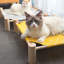 Fournitures pour maison pour animal de compagnie