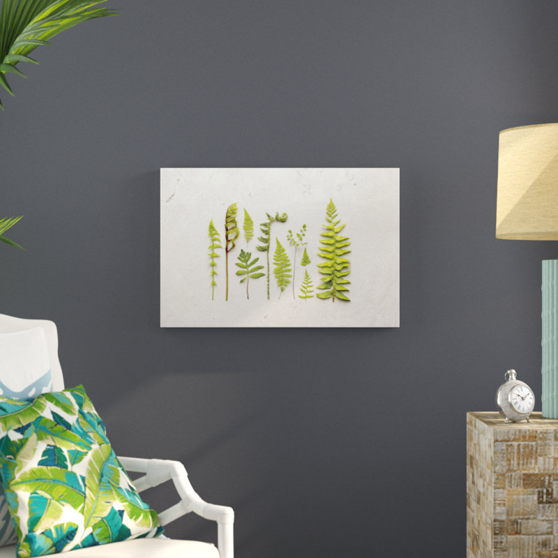 Flat Lay Ferns I by Felicity Bradley - No Frame Print on Canvas, 51cm H x 76cm W