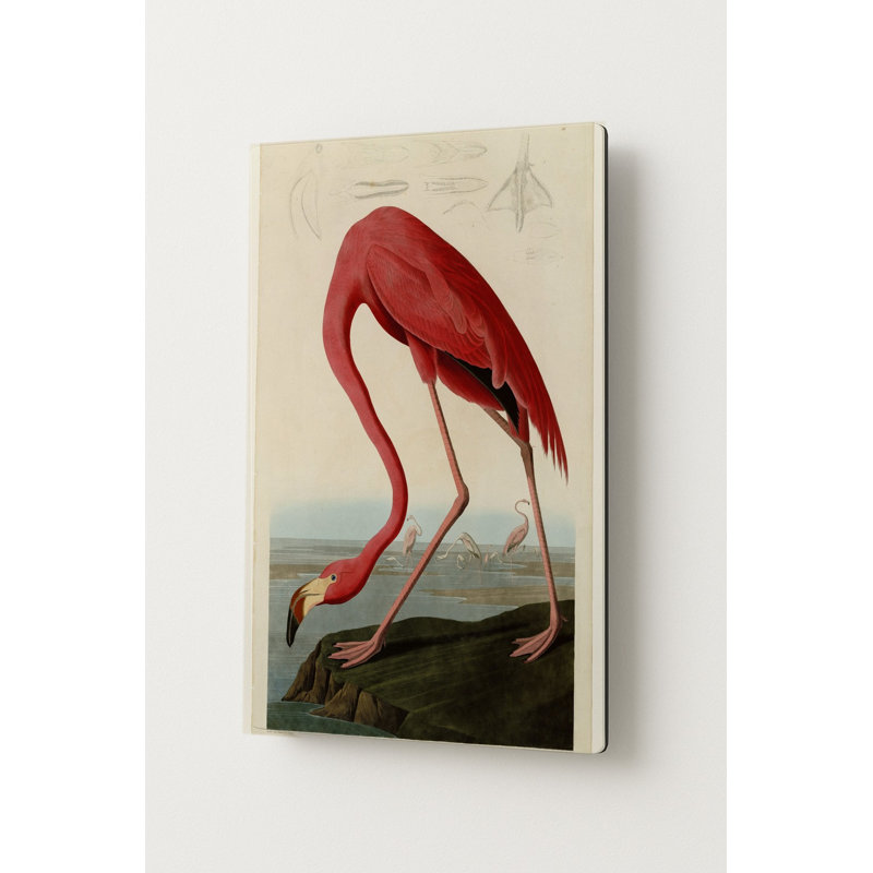 American Flamingo (1838) — Portrait Metal Wall Art, 30" H x 20" W