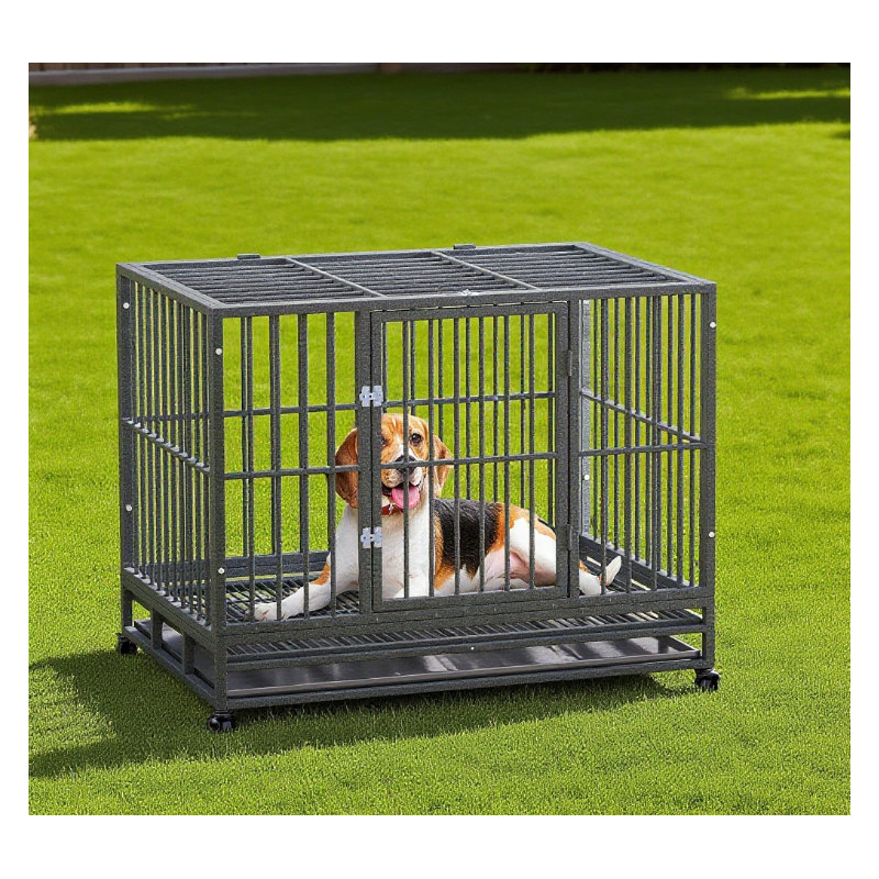 Cage en métal robuste pour chenil
