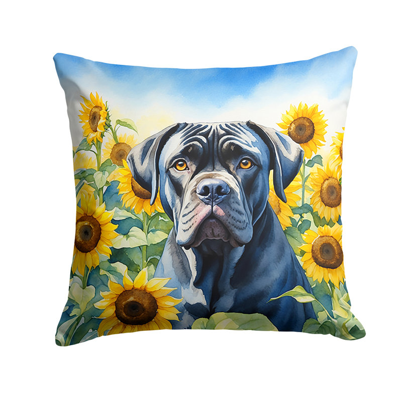 Coussin décoratif intérieur / extérieur Autre / Sans motif, H 18 po x l 18 po