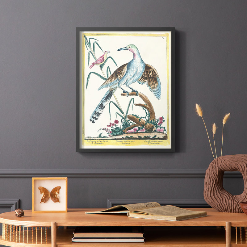 «Pastel Birds V», reproduction encadrée en bois massif, Noir, H 20 po x l 16 po