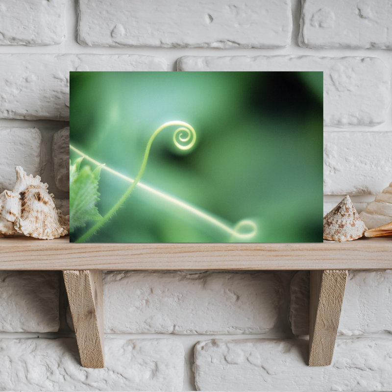 Gros plan sur une plante verte spirale recroquevillée, art mural contemporain, H 12 po x l 18 po