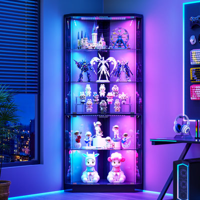 Display Cabinet