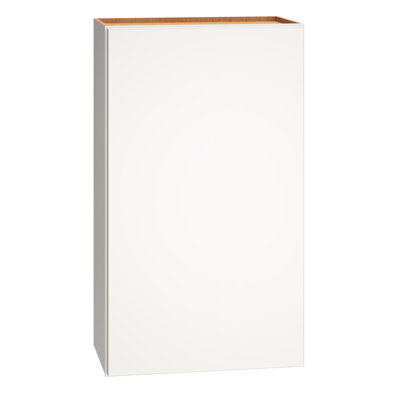Armoire murale 1 porte avec 2 tablettes réglables Dwelling Rosemont l 18 po x H 36 po x P 12 po