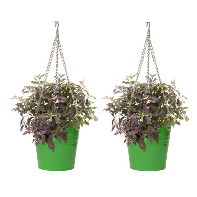 Arnkell Metal Hanging Planter