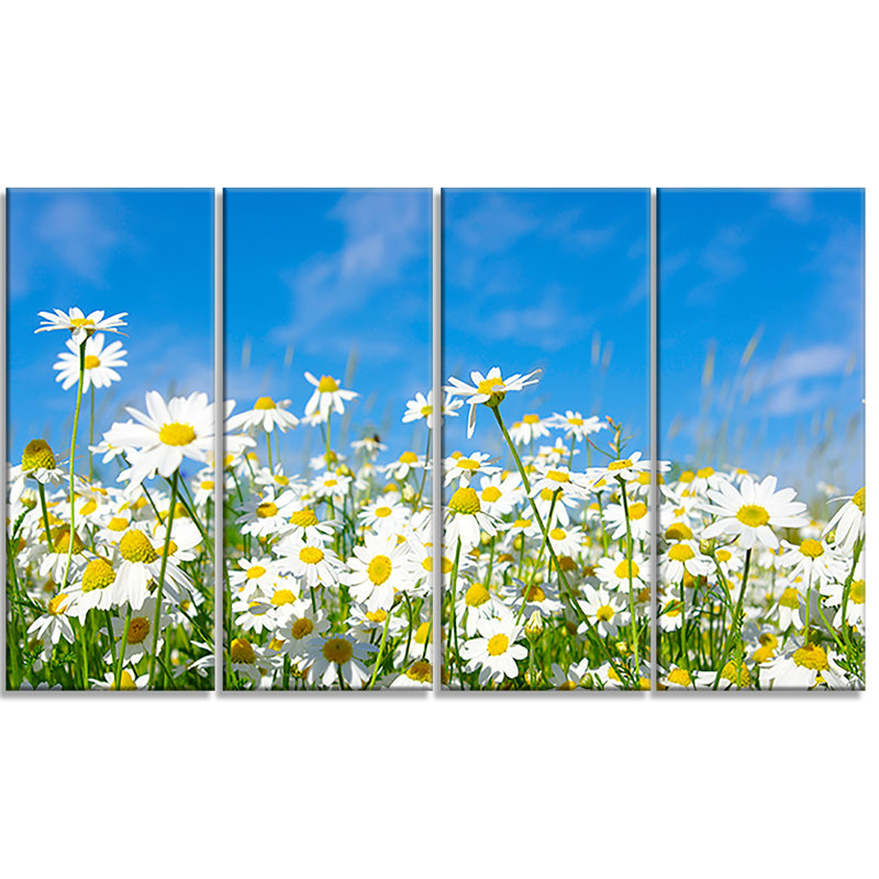 « white marguerites under blue blue sky », ensemble de 4 reproductions de photos sur toiles tendues