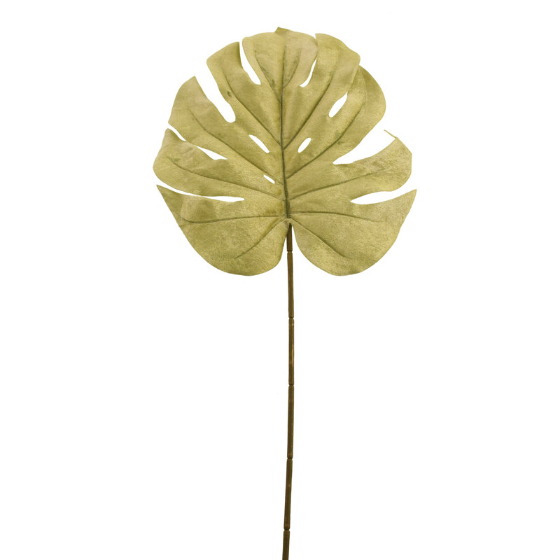 Monstera Arrangement