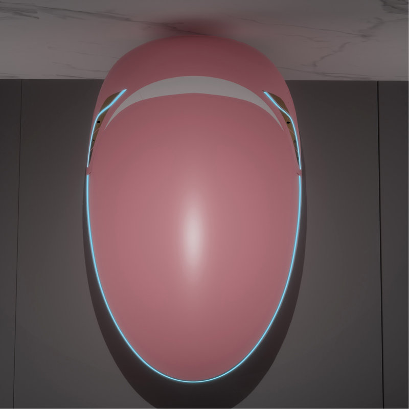Intelligent One Piece Toilet, Auto Open Seat, 1.28 Flushing, Self, Pink Battery Warm Air Dryer,, Pink
