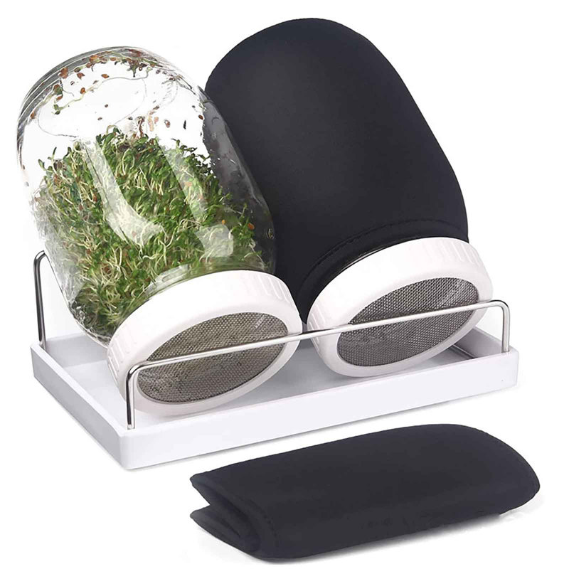 Support de germination en acier inoxydable pour support de germination