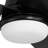 Purab 52'' Ceiling Fan with LED Lights-602551314