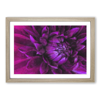 Purple Flower Vol.1 - Picture Frame Painting